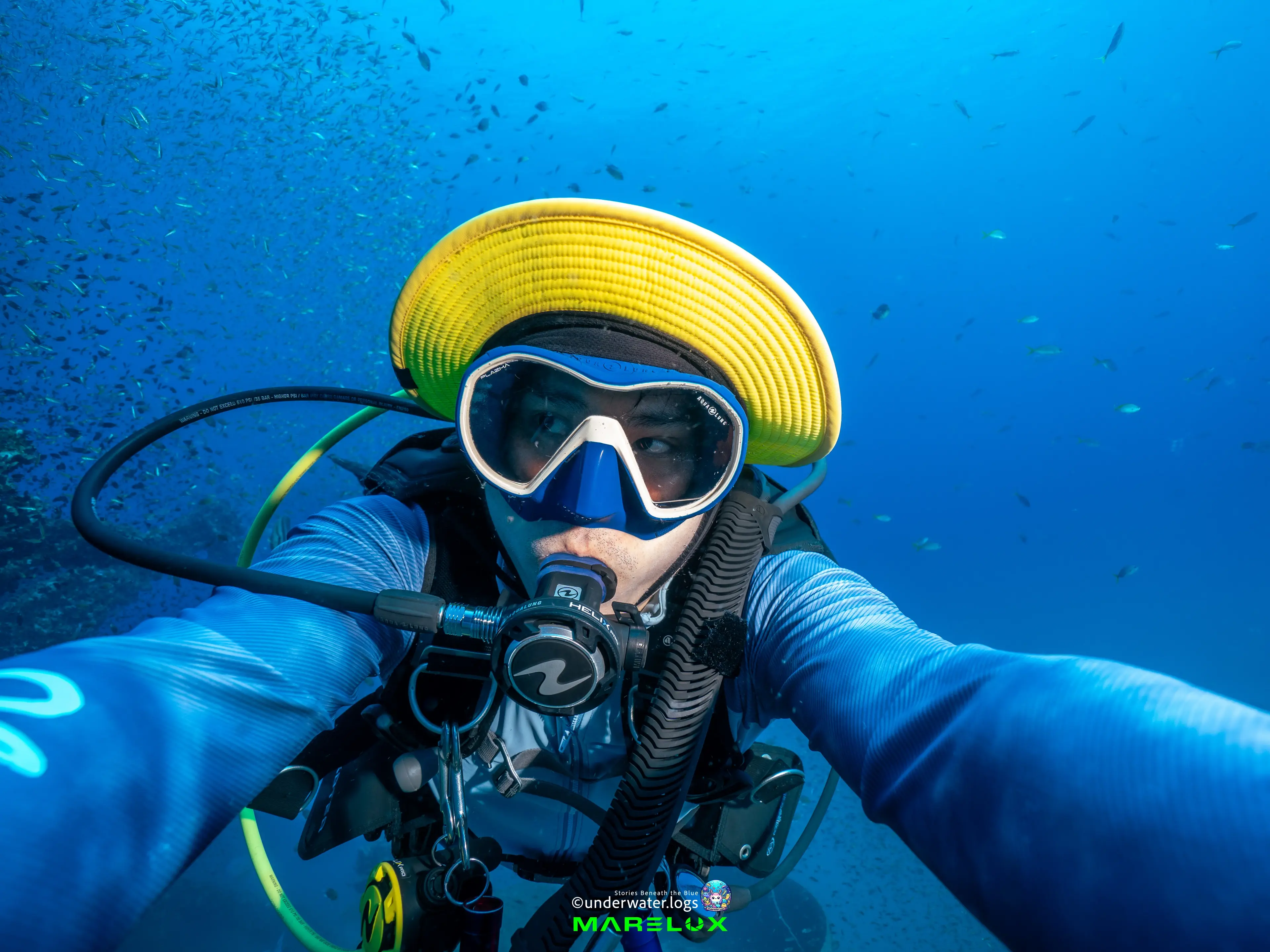 Divemaster Services