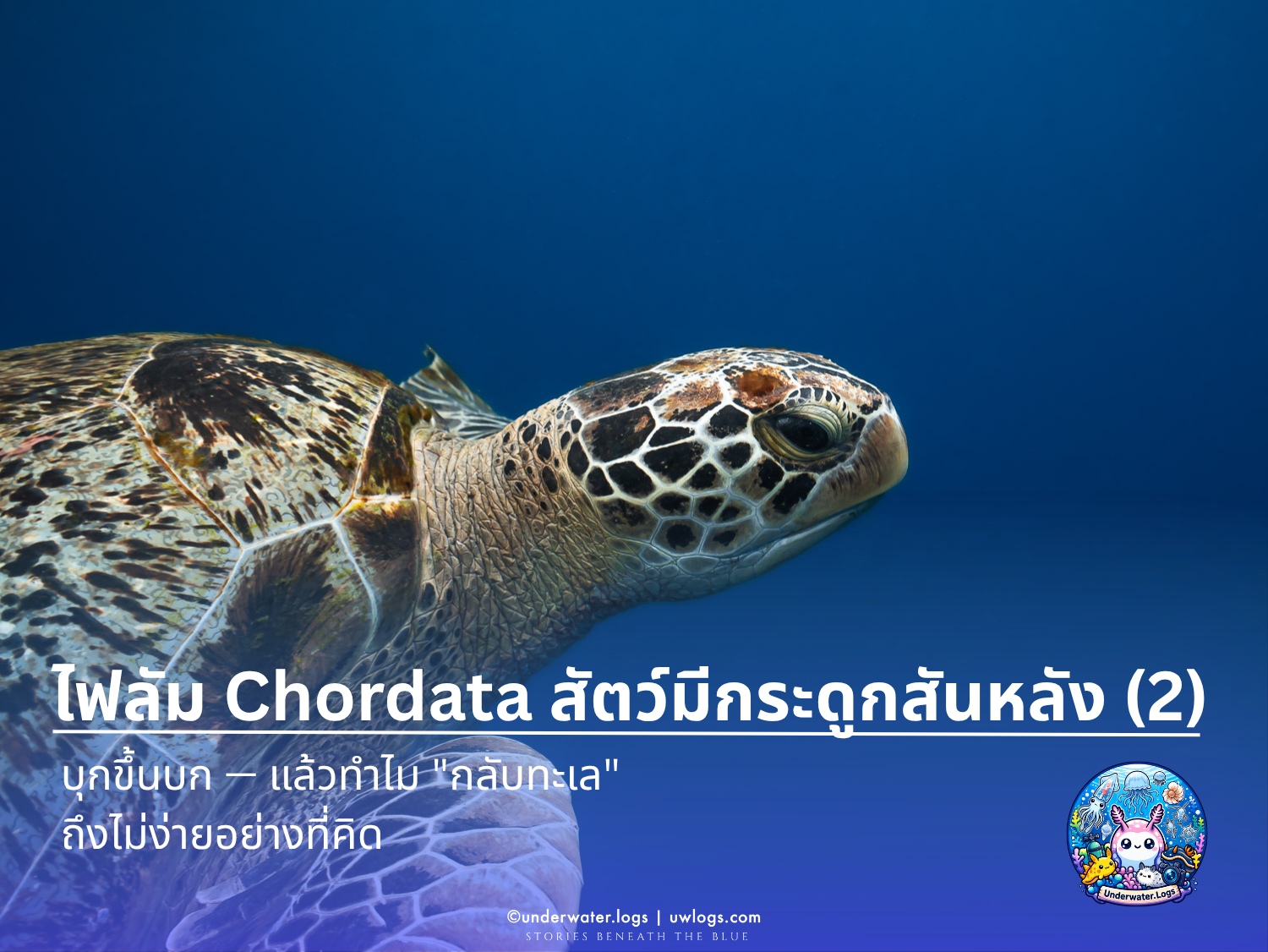 Cover image for: Chordata Part 2: บุกขึ้นบก — แล้วทำไม "กลับทะเล" ถึงไม่ง่ายอย่างที่คิด