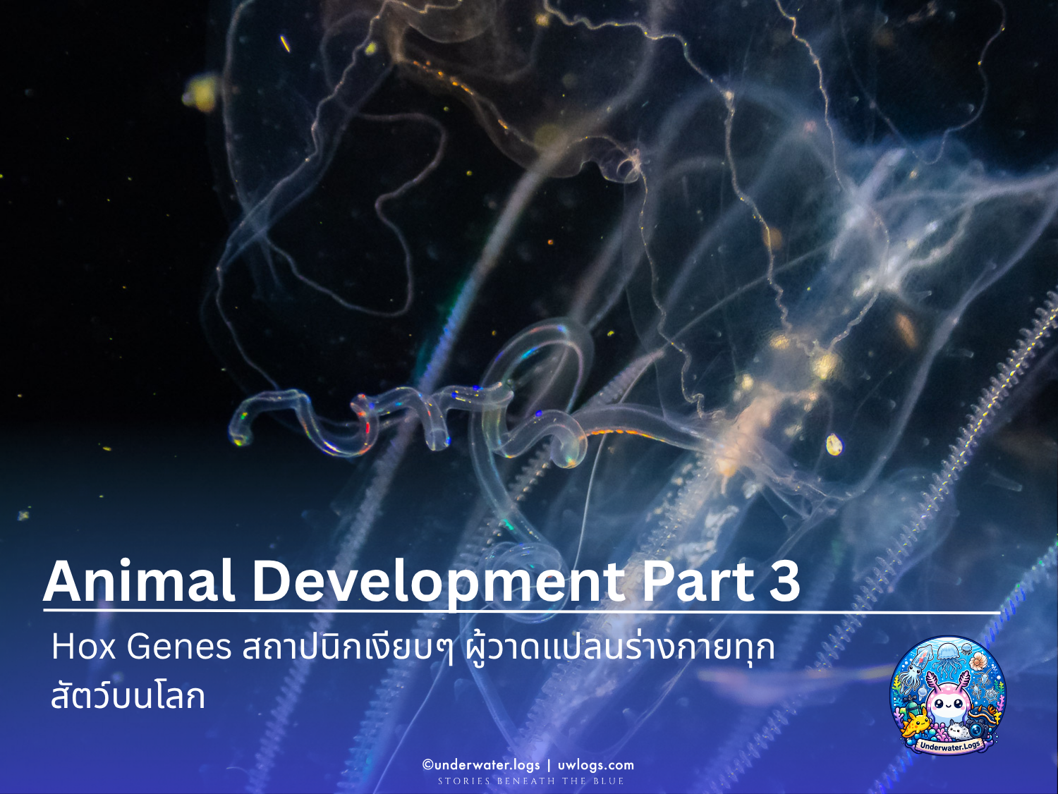 Cover image for: 🗺️ Animal Development Part 3: Hox Genes — สถาปนิกเงียบๆ ผู้วาดแปลนร่างกายทุกสัตว์บนโลก