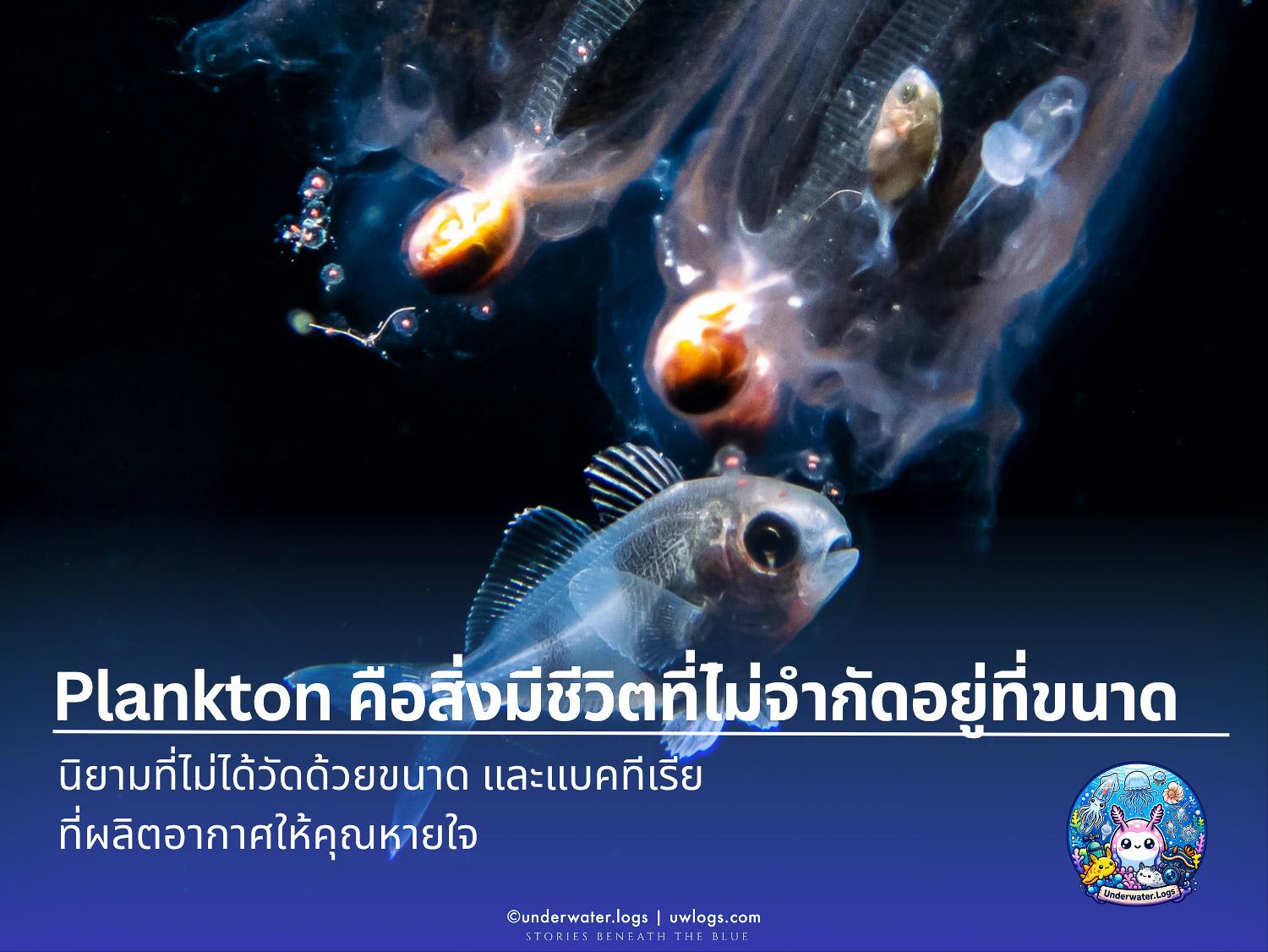 Cover image for: 🦠 Plankton: นิยามที่ไม่ได้วัดด้วยขนาด และแบคทีเรียที่ผลิตอากาศให้คุณหายใจ