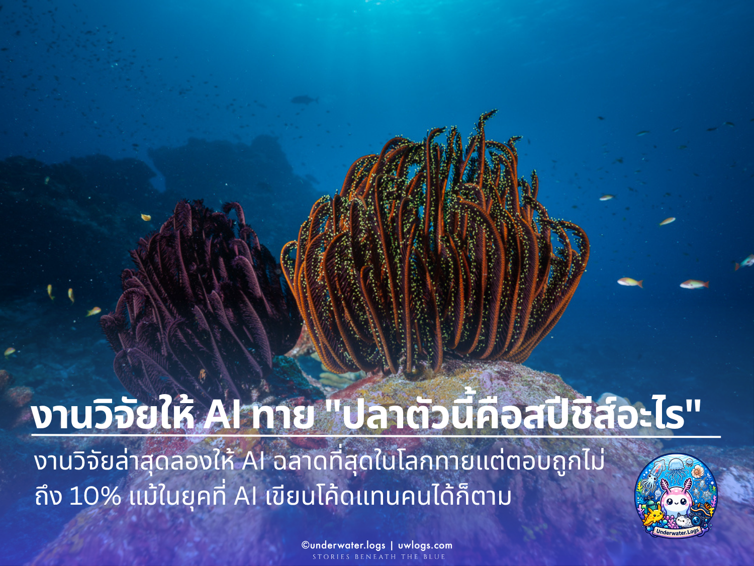 Cover image for: ให้ AI ที่ฉลาดที่สุดในโลกทาย "ปลาตัวนี้คือสปีชีส์อะไร" — ตอบถูกไม่ถึง 10%
