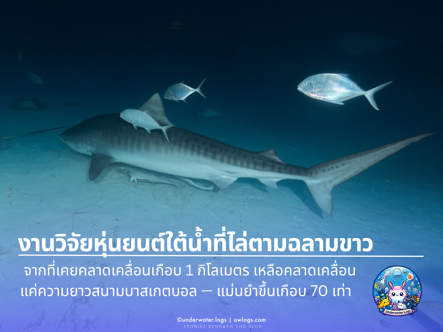 Cover image for: หุ่นยนต์ใต้น้ำที่ไล่ตามฉลามขาวแม่นกว่าเดิม 70 เท่า