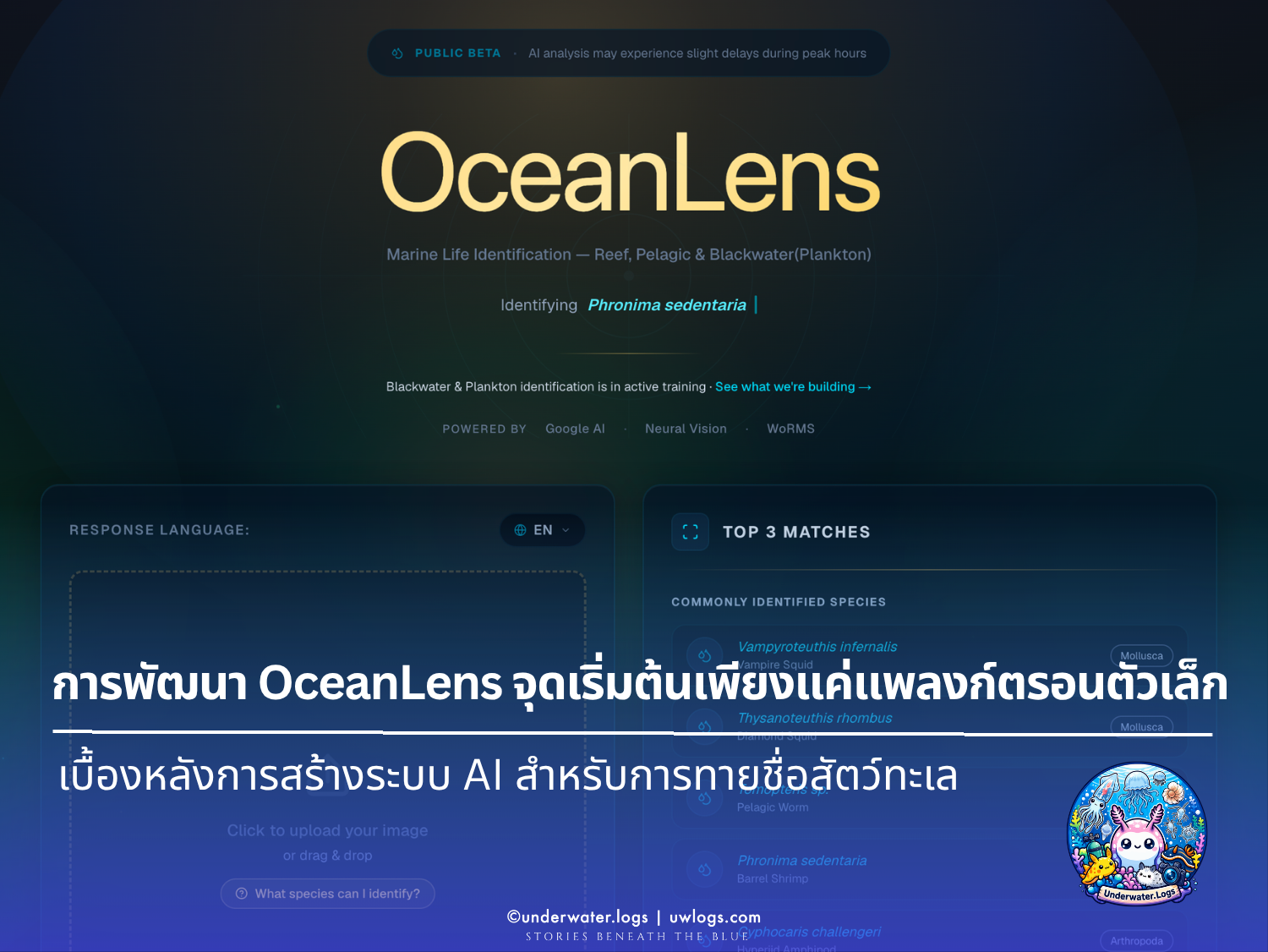 Cover image for: การพัฒนา OceanLens จุดเริ่มต้นเพียงแค่แพลงก์ตรอนตัวเล็ก