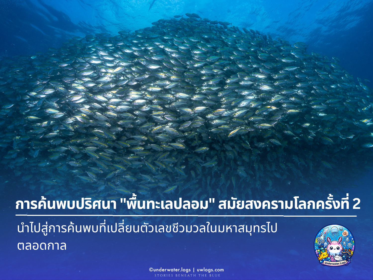 Cover image for: ปริศนา "พื้นทะเลปลอม" ที่ทำให้กองทัพเรือสมัยสงครามโลกครั้งที่ 2 งงไปทั้งกองทัพ — จนนำไปสู่การค้นพบที่เปลี่ยนตัวเลขชีวมวลในมหาสมุทรไปตลอดกาล