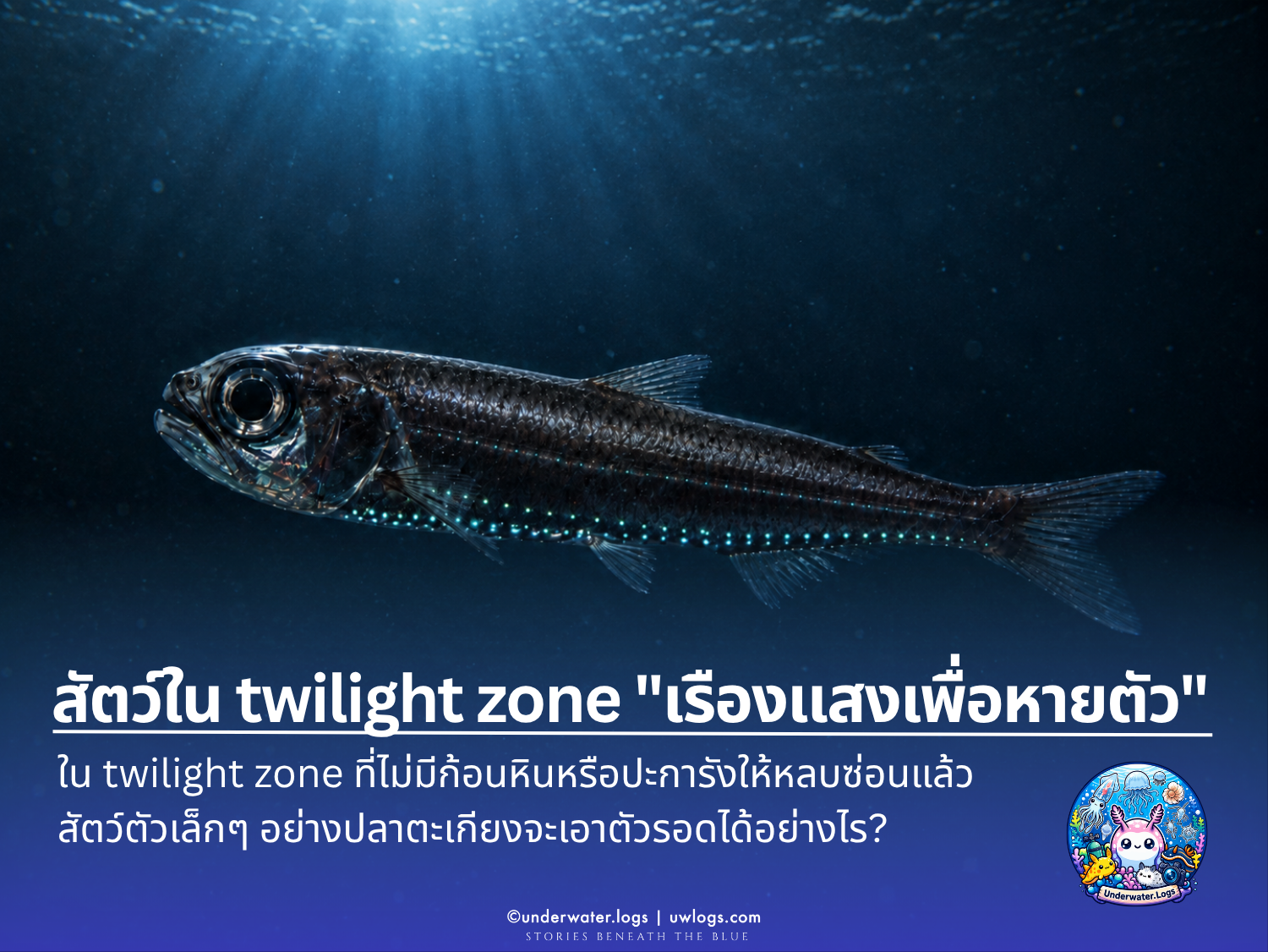 Cover image for: สัตว์ใน twilight zone "เรืองแสงเพื่อหายตัว"